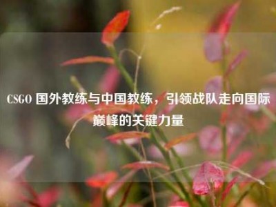 CSGO 国外教练与中国教练，引领战队走向国际巅峰的关键力量