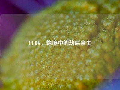 PUBG，绝境中的劫后余生