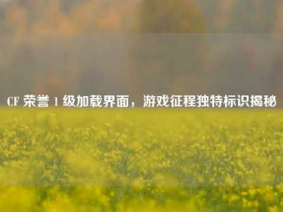 CF 荣誉 1 级加载界面，游戏征程独特标识揭秘