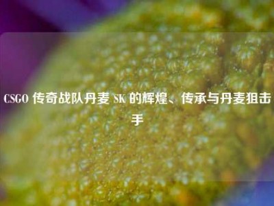 CSGO 传奇战队丹麦 SK 的辉煌、传承与丹麦狙击手