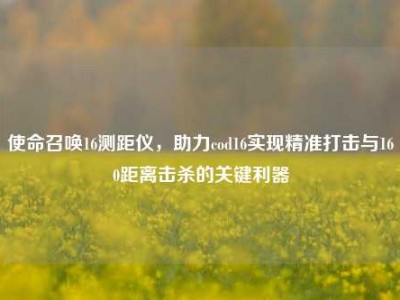 使命召唤16测距仪，助力cod16实现精准打击与160距离击杀的关键利器