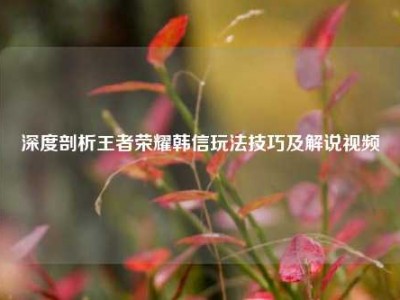 深度剖析王者荣耀韩信玩法技巧及解说视频