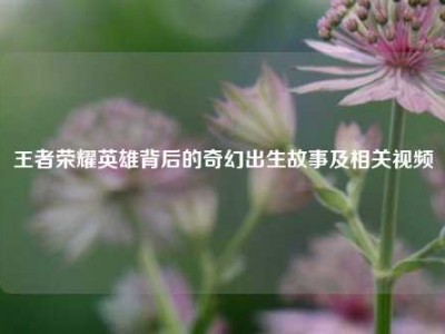 王者荣耀英雄背后的奇幻出生故事及相关视频