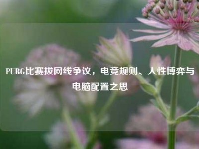 PUBG比赛拔网线争议，电竞规则、人性博弈与电脑配置之思