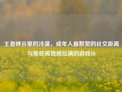 王者峡谷里的冷漠，成年人最默契的社交距离与那些孤独感拉满的游戏ID