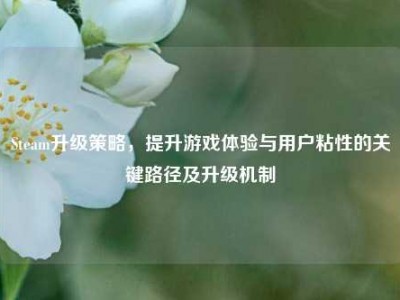 Steam升级策略，提升游戏体验与用户粘性的关键路径及升级机制