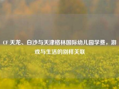 CF 天龙、白沙与天津格林国际幼儿园学费，游戏与生活的别样关联