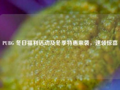 PUBG 冬日福利活动及冬季特惠来袭，速领惊喜