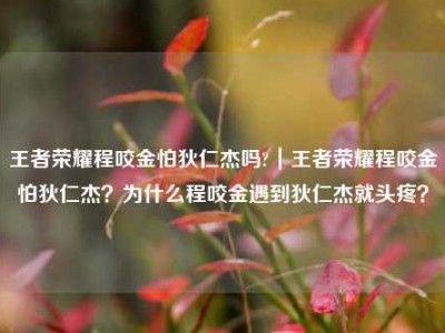 王者荣耀程咬金怕狄仁杰吗?｜王者荣耀程咬金怕狄仁杰？为什么程咬金遇到狄仁杰就头疼？