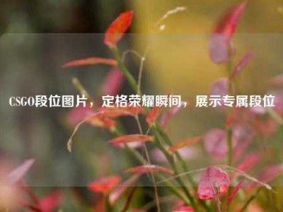 CSGO段位图片，定格荣耀瞬间，展示专属段位
