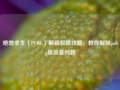 绝地求生（PUBG）解锁权限攻略，教你解除pubg锁设备问题