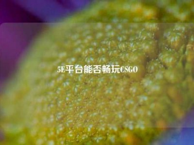 5E平台能否畅玩CSGO