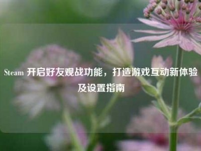 Steam 开启好友观战功能，打造游戏互动新体验及设置指南