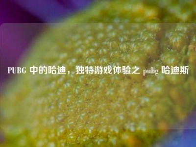 PUBG 中的哈迪，独特游戏体验之 pubg 哈迪斯