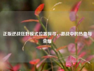 正版逆战狂野模式位置探寻，激战中的热血与荣耀