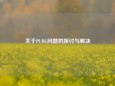 关于PUBG问题的探讨与解决