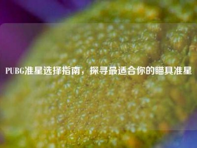 PUBG准星选择指南，探寻最适合你的瞄具准星