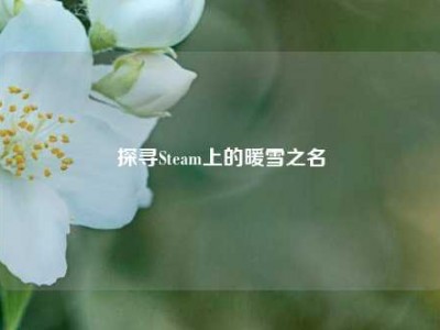探寻Steam上的暖雪之名