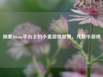 探索Steam平台上的小麦游戏世界，几款小游戏