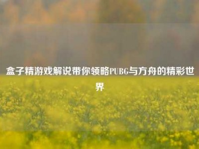 盒子精游戏解说带你领略PUBG与方舟的精彩世界