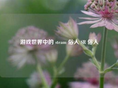 游戏世界中的 steam 俗人 SR 俗人