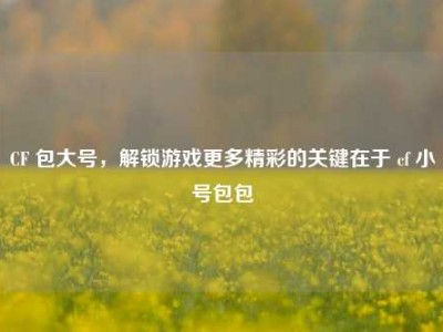 CF 包大号，解锁游戏更多精彩的关键在于 cf 小号包包