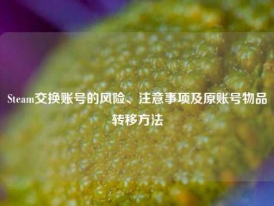 Steam交换账号的风险、注意事项及原账号物品转移方法