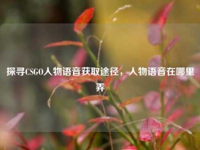 探寻CSGO人物语音获取途径，人物语音在哪里弄