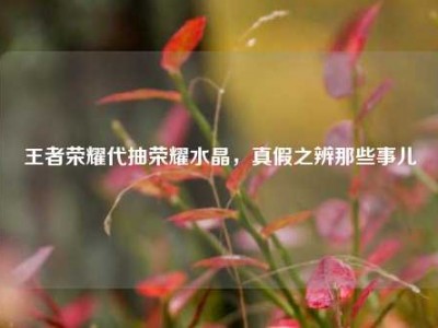 王者荣耀代抽荣耀水晶，真假之辨那些事儿