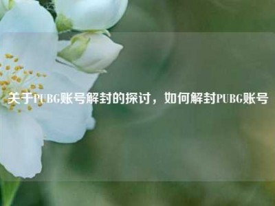关于PUBG账号解封的探讨，如何解封PUBG账号