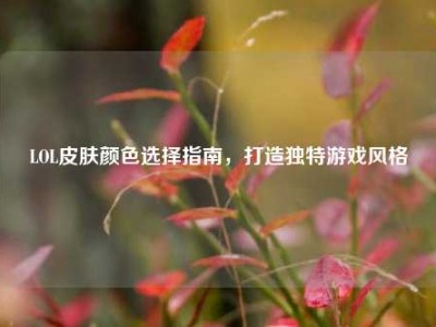 LOL皮肤颜色选择指南，打造独特游戏风格