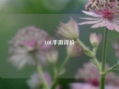 LOL手游评价
