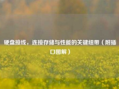硬盘接线，连接存储与性能的关键纽带（附插口图解）