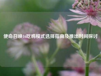 使命召唤16吃鸡模式选择指南及推出时间探讨