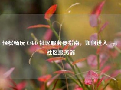 轻松畅玩 CSGO 社区服务器指南，如何进入 csgo 社区服务器