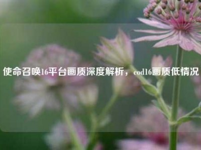 使命召唤16平台画质深度解析，cod16画质低情况