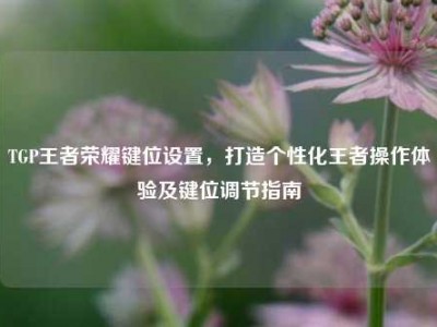 TGP王者荣耀键位设置，打造个性化王者操作体验及键位调节指南