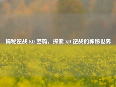 揭秘逆战 KD 密码，探索 KD 逆战的神秘世界