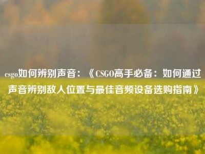 csgo如何辨别声音：《CSGO高手必备：如何通过声音辨别敌人位置与最佳音频设备选购指南》