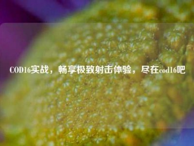 COD16实战，畅享极致射击体验，尽在cod16吧
