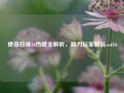 使命召唤16热键全解析，助力玩家畅玩cod16