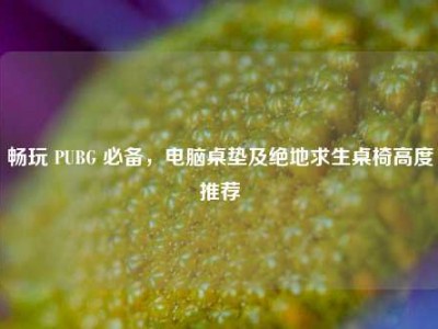 畅玩 PUBG 必备，电脑桌垫及绝地求生桌椅高度推荐