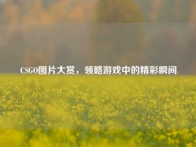 CSGO图片大赏，领略游戏中的精彩瞬间