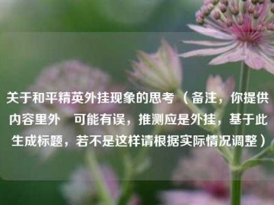 关于和平精英外挂现象的思考 （备注，你提供内容里外珪可能有误，推测应是外挂，基于此生成标题，若不是这样请根据实际情况调整）