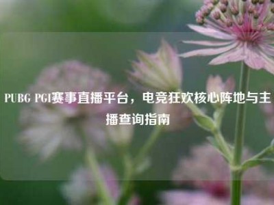 PUBG PGI赛事直播平台，电竞狂欢核心阵地与主播查询指南