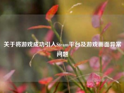 关于将游戏成功引入Steam平台及游戏画面异常问题