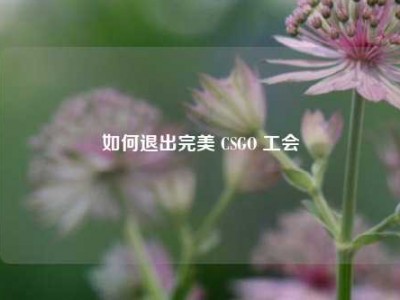 如何退出完美 CSGO 工会