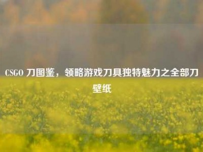CSGO 刀图鉴，领略游戏刀具独特魅力之全部刀壁纸