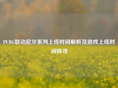 PUBG联动尼尔系列上线时间解析及游戏上线时间探寻