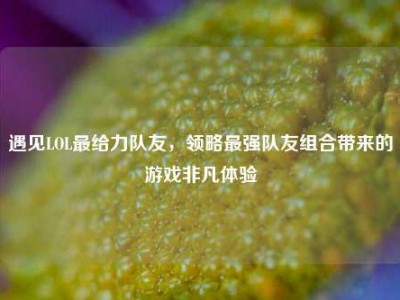 遇见LOL最给力队友，领略最强队友组合带来的游戏非凡体验